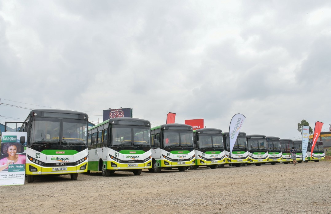 isuzu buses